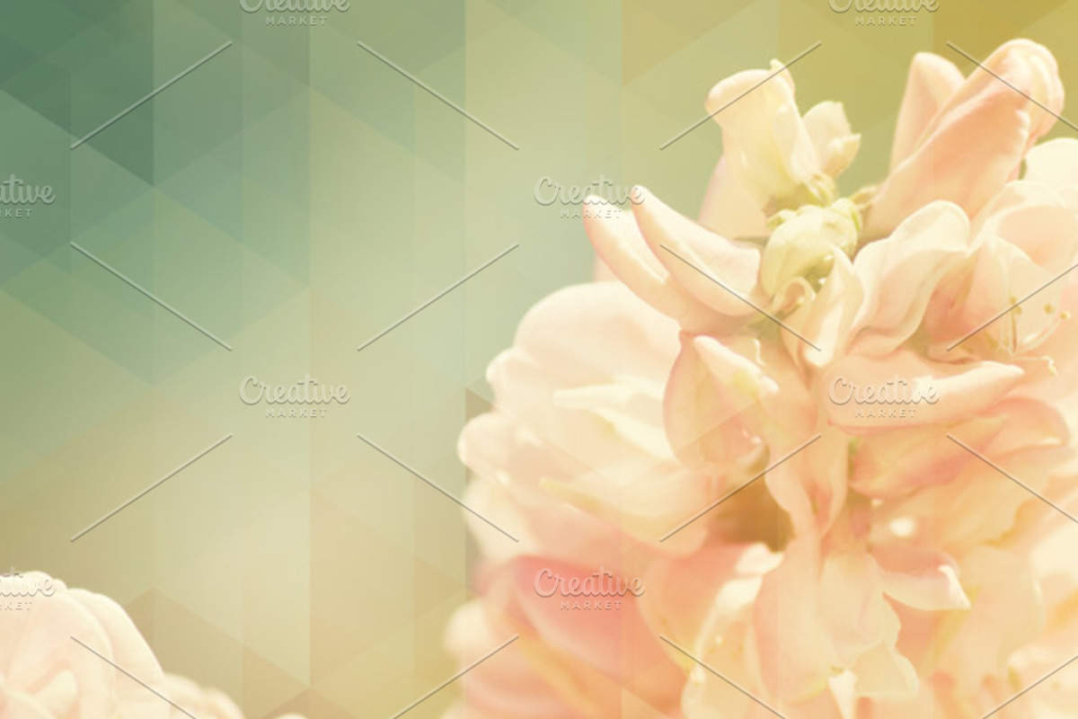 Geometric flowers I