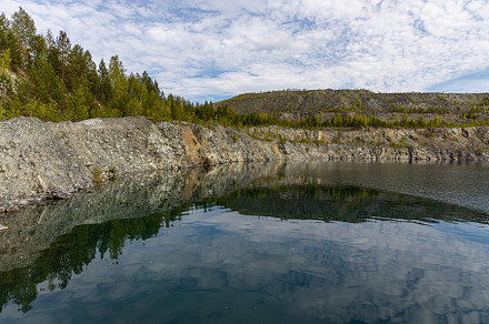 Group of small pines are by a lake w, a Nature Photo by Illustrations&photos