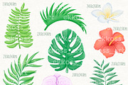 Tropical Flowers Summer Clipart, an Illustration by ekossa_art (Thumbnail 2 of 6)