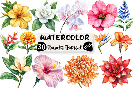 Watercolor Flowers Tropical PNG, an Illustration by Black Bird Studio