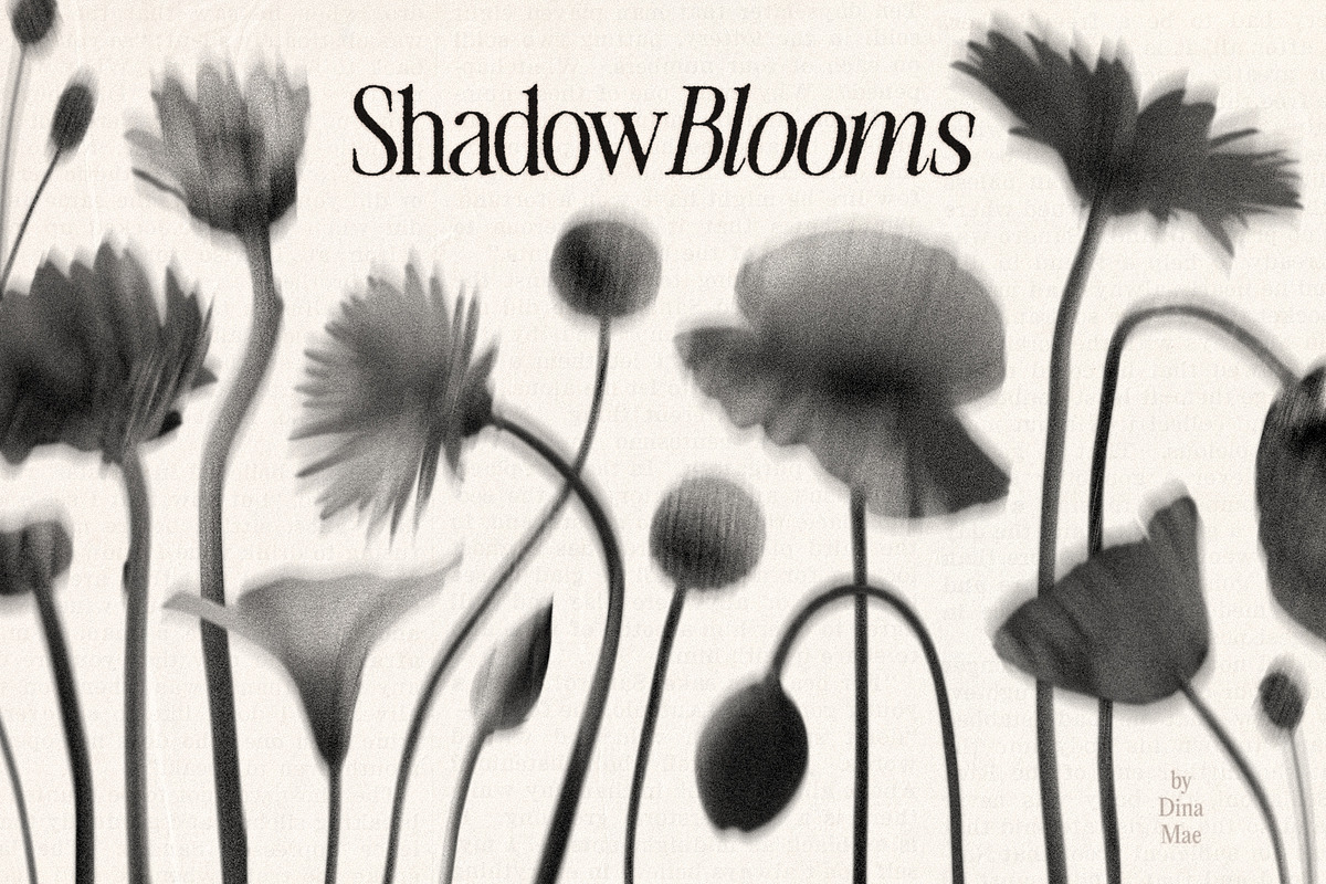 Shadow Blooms, an Object Graphic by Dina Mae (Photo 1 of 10)