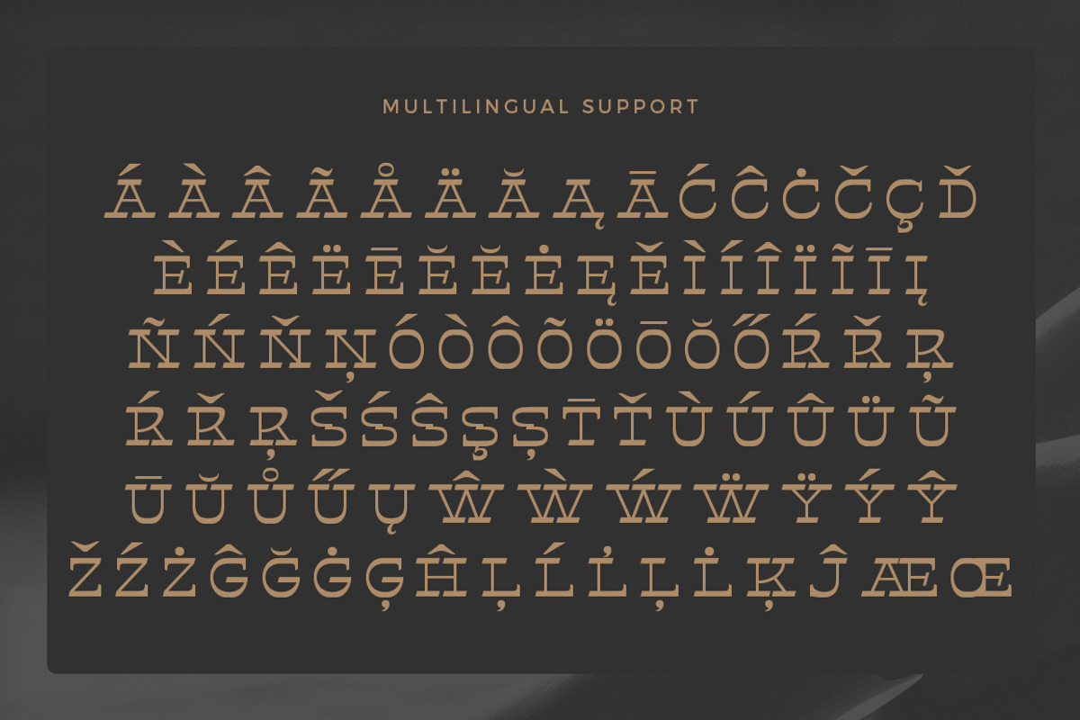 Helter Slab, a Serif Font by Dora Typefoundry (Photo 12 of 13)