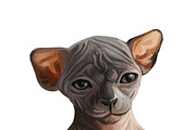 Cats and Kittens, 160 png breeds, an Animal Illustration by Dneprstock (Thumbnail 11 of 11)