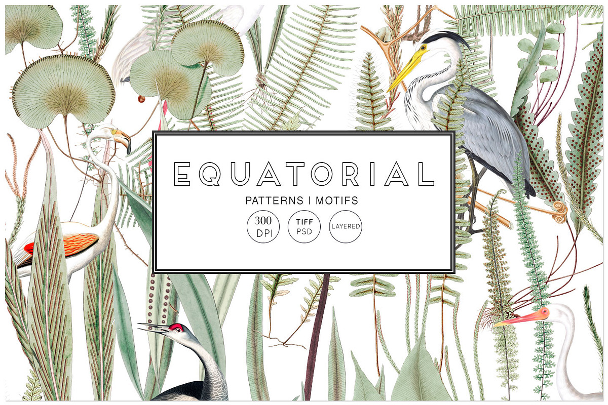 Equatorial Patterns Set!, a Wallpaper Graphic by Pink Linen (Photo 1 of 12)
