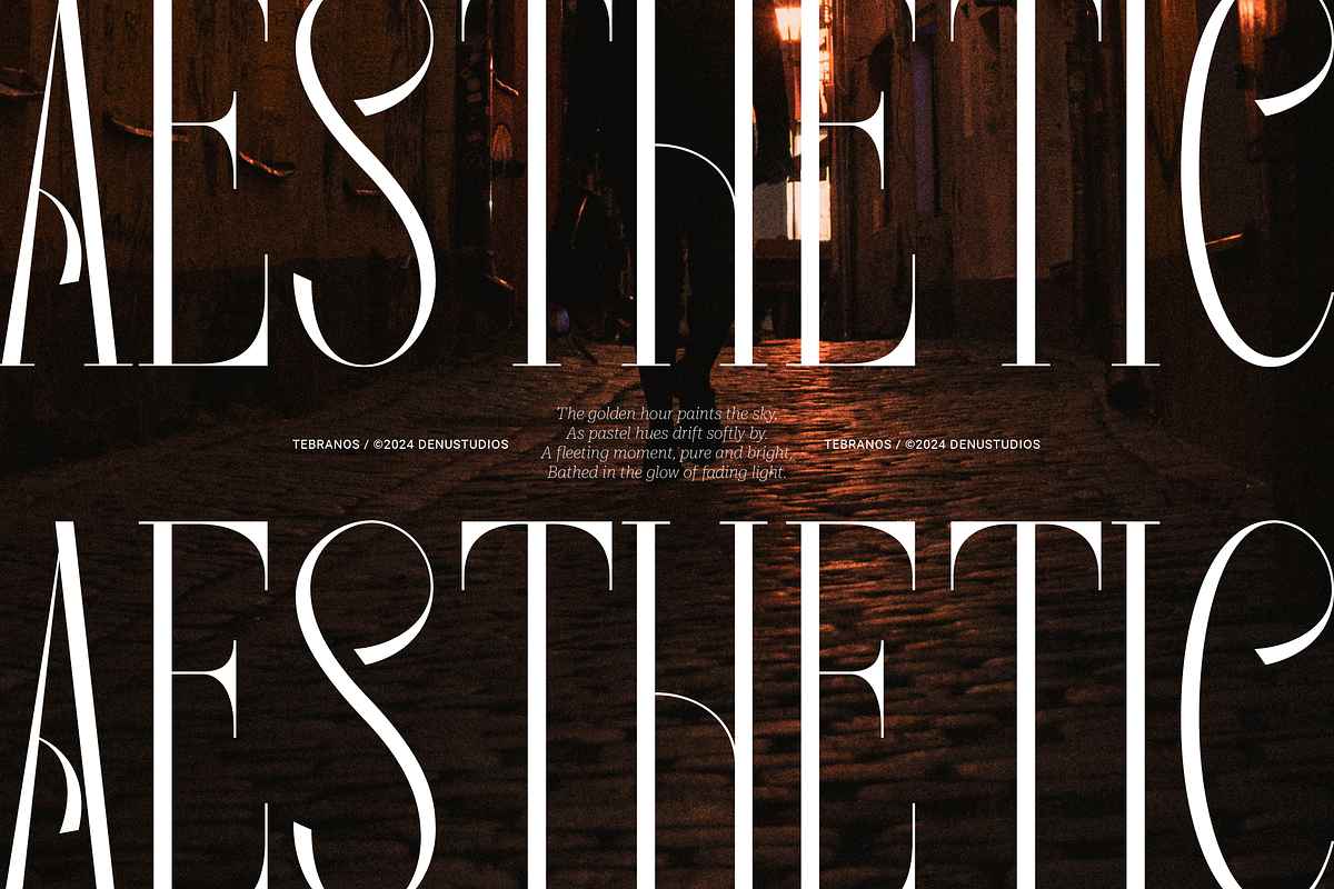 Tebranos | Modern Display Serif, a Serif Font by Denustudios (Photo 7 of 13)