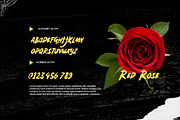 Haefunz - Brush Font, a Handwritten Font by Dhabee (Thumbnail 4 of 10)