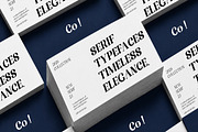 Randion, a Serif Font by StudioRhd (Thumbnail 6 of 14)