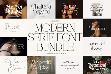 Modern Serif Font Bundle