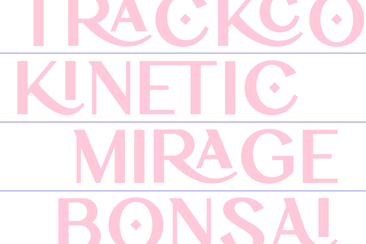 Drinkse A Modern Sans Serif, a Sans Serif Font by AmorfaType (Photo 3 of 11)