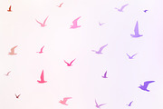 Birds silhouette brushes, a Brush Add-On by RM_design (Thumbnail 2 of 3)