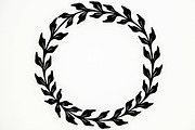 Decorative Circle Leaf Frame Set, an Illustration by BIPLOB EXPERT (Thumbnail 7 of 9)
