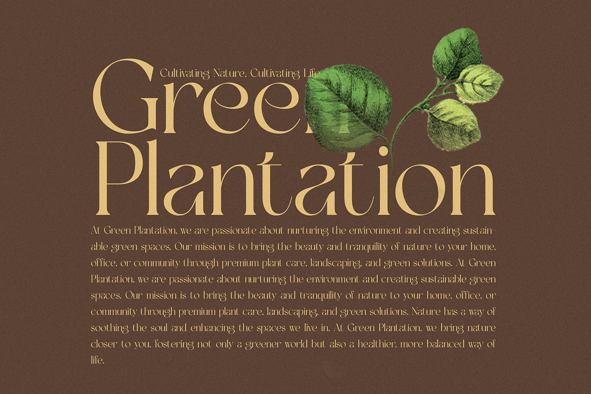 Mafgin - Elegant Serif Font, a Serif Font by Graphicxell (Photo 7 of 8)