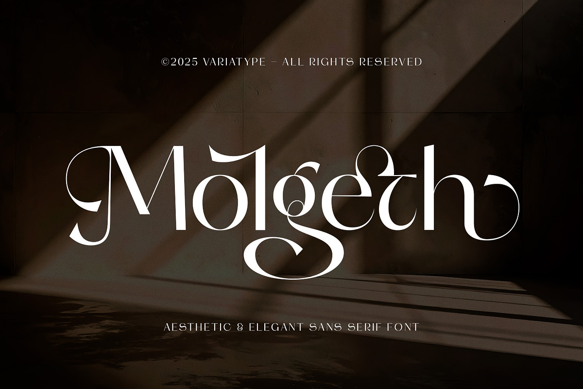 Molgeth - Aesthetic Sans Serif, a Sans Serif Font by Variatype (Photo 1 of 15)