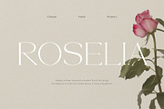 BHYORA | Modern Serif Font, a Serif Font by ToniStudio (Thumbnail 4 of 10)