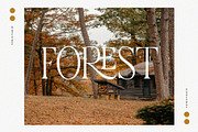 CREMISS || Font Duo, a Serif Font by ToniStudio (Thumbnail 7 of 11)