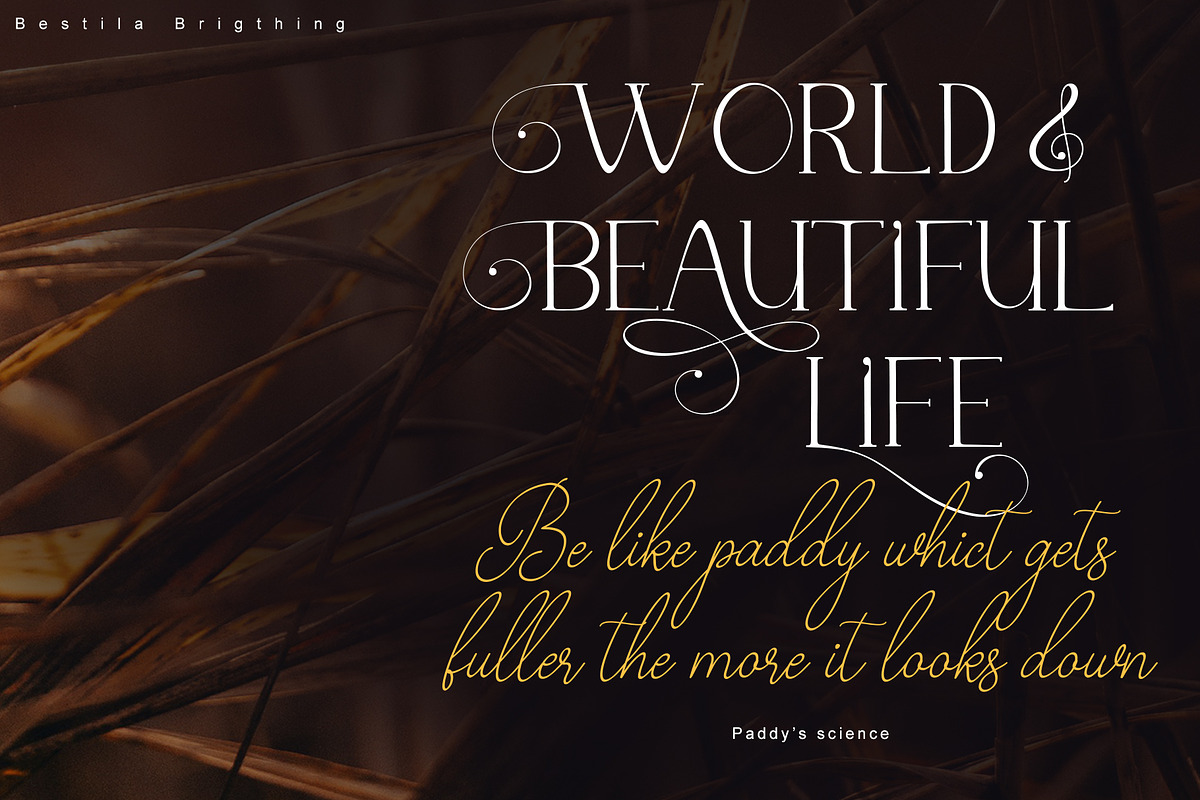 Bestiela brigthing, a Handwritten Font by Sulthan Studio (Photo 3 of 10)