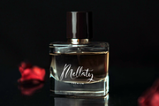 Haniquta | Beauty Calligraphy Script, a Script Font by gracetype_studio (Thumbnail 2 of 12)