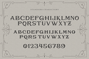 Bullhawk for Logo & Vintage Branding, a Serif Font by ilhamtaro (Thumbnail 18 of 19)