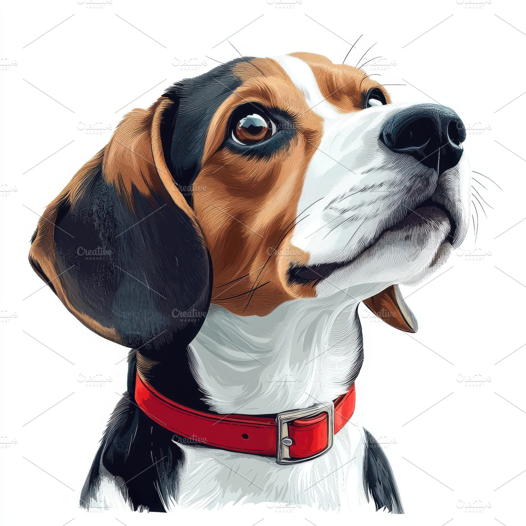 Beagle Dog Portrait Red Collar White, an Animal Photo by Pixeness Studio