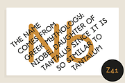 Monolog, a Sans Serif Font by Polytype (Thumbnail 7 of 15)