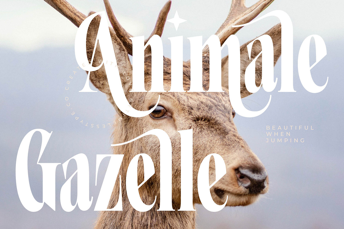 Grafistye Modern Display Serif Font, a Serif Font by timelesstype.co (Photo 13 of 20)