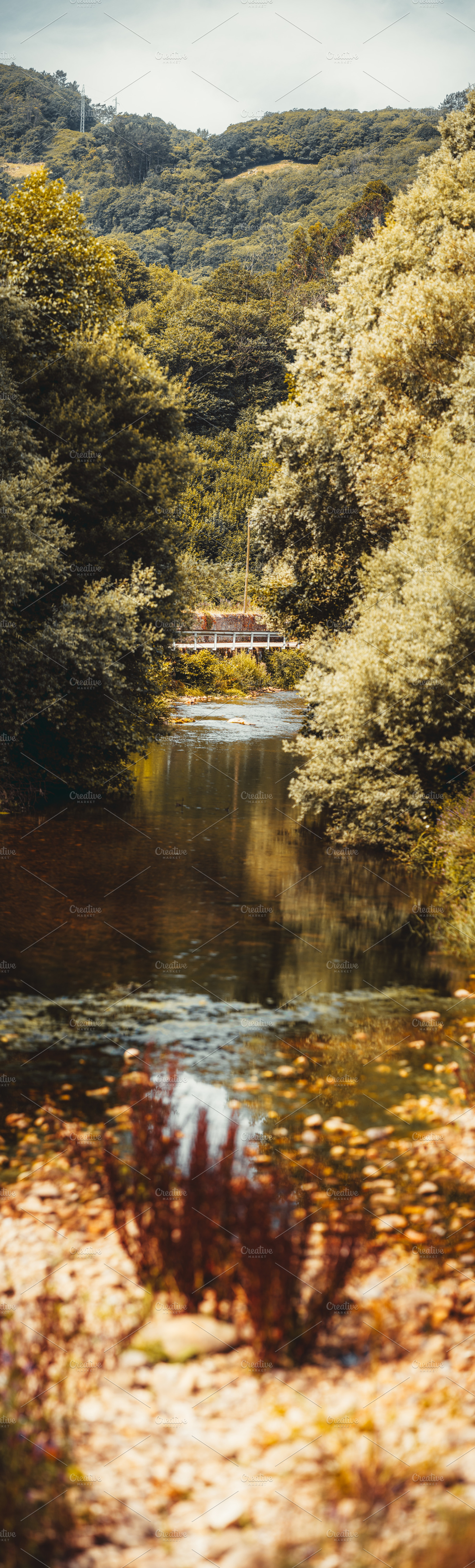 Autumn river vertorama, a Nature Photo by SkyNext
