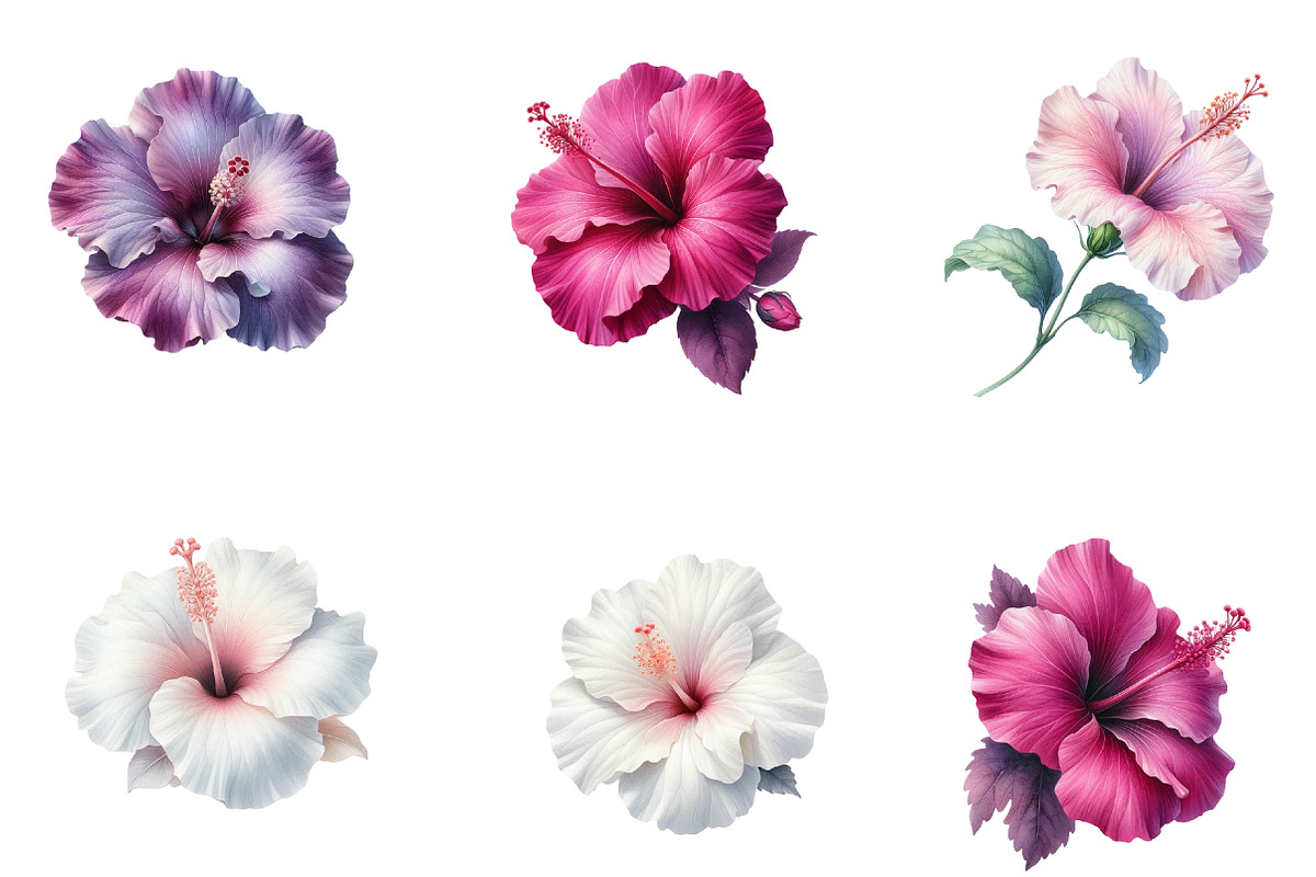Watercolor Hibiscus Clipart, an Illustration by Designworld (Photo 5 of 5)