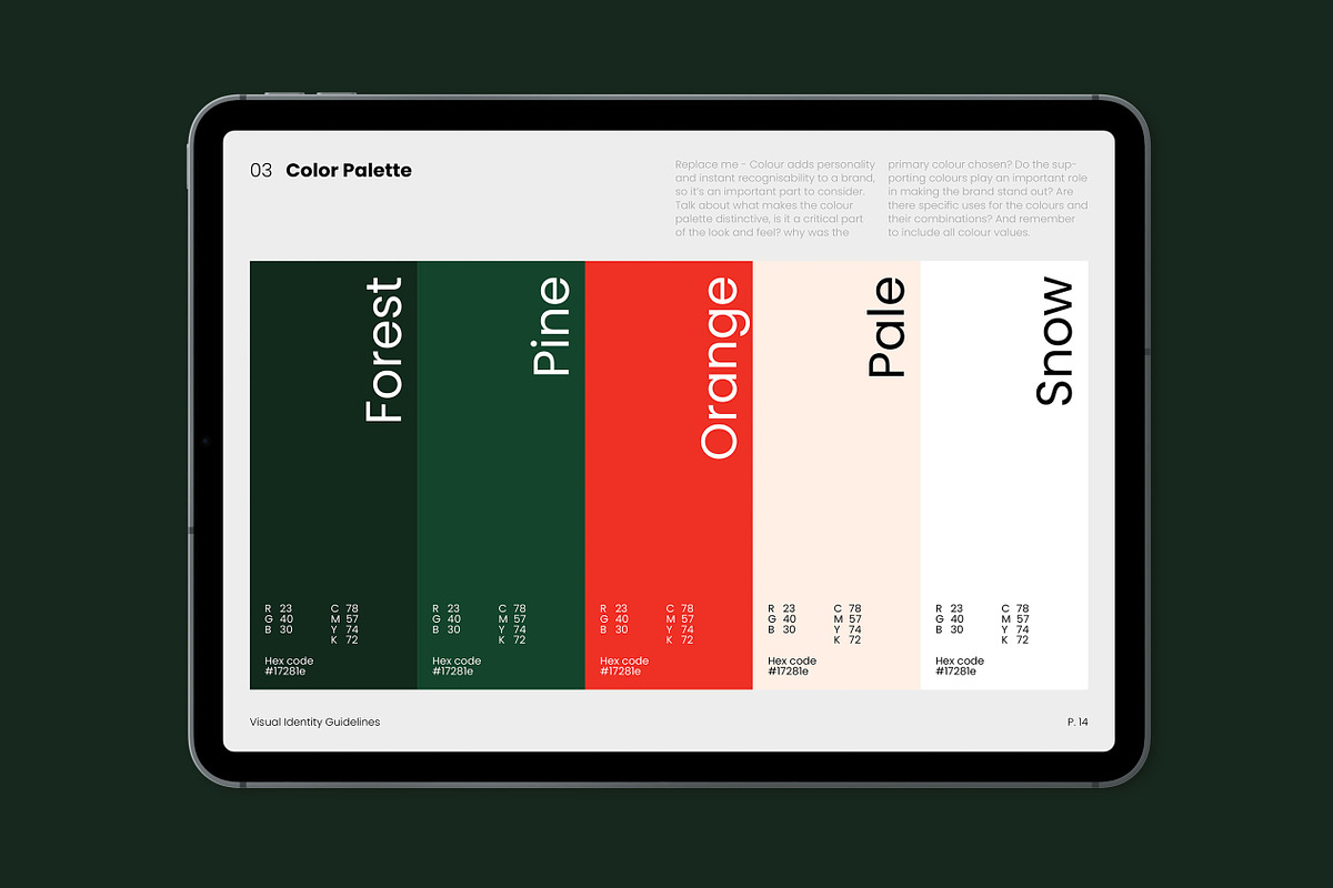 Brand Guidelines Template - Figma, a Presentation Template by Typefool's Shop (Photo 9 of 10)