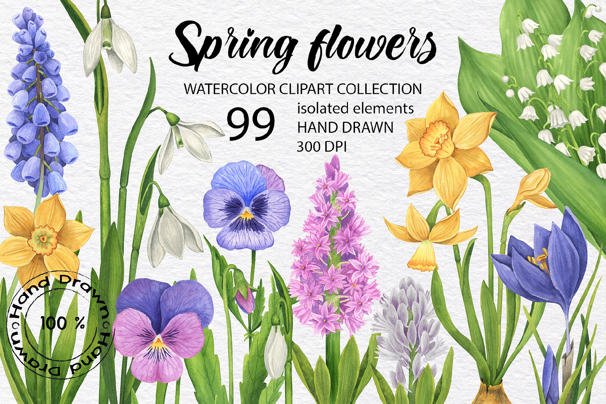 Watercolor wild spring flowers set, a Decorative Illustration by KathrineWatercolor (Photo 1 of 10)