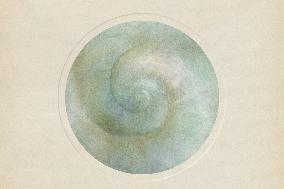Sfumato Organic Textured Backgrounds, a Background Graphic by alonahaidash (Photo 4 of 15)