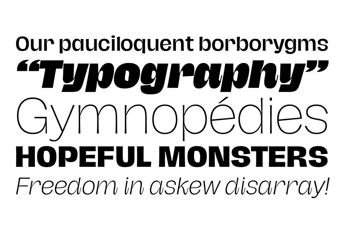 Hagrid 24 fonts + 4 variables preview 3