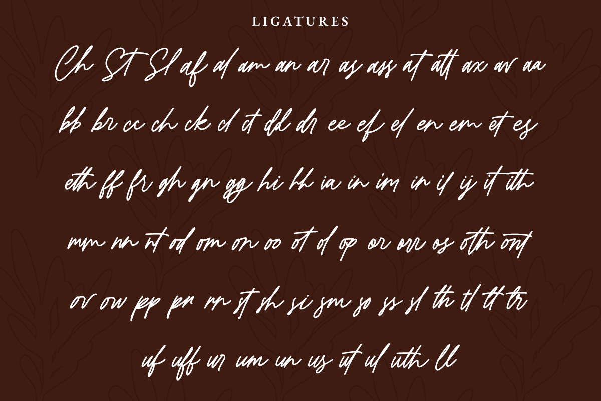 Bromrose Sands Signature, a Script Font by Rillatype (Photo 13 of 13)