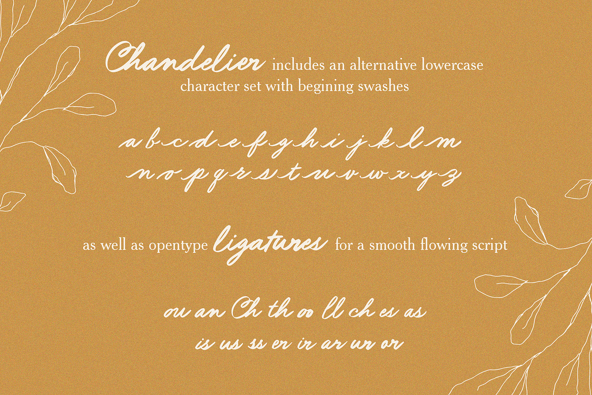 Chandelier Script Font, a Script Font by ReveryWorks (Photo 15 of 15)