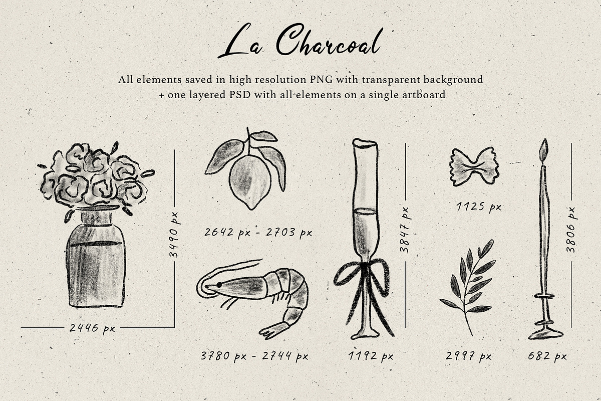 La Charcoal | 422 elements, an Object Illustration by Oksana Stepova (Photo 8 of 24)