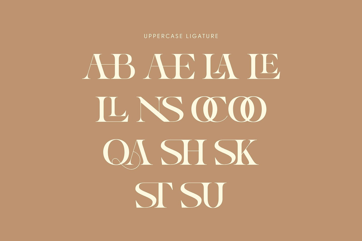 Gauker - Modern Ligatures Serif, a Serif Font by Nirmana Visual (Photo 5 of 12)