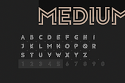 Privus Type Family, a Font by Yasin Yalçın (Thumbnail 3 of 10)