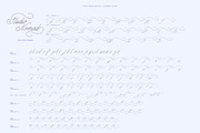 Studio Nomad // Script Family, a Script Font by PeachCreme (Thumbnail 22 of 23)