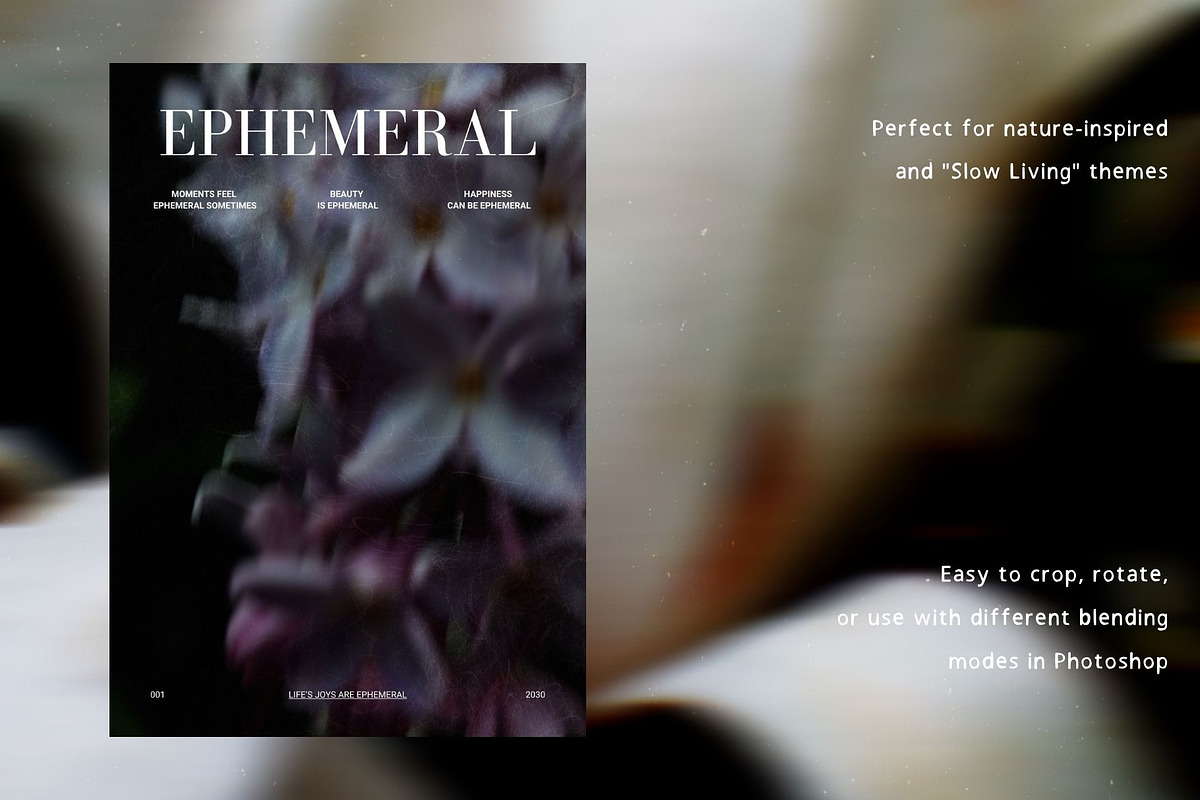 Dark bloom. Floral Backgrounds, a Background Graphic by PaperJamLab (Photo 8 of 14)