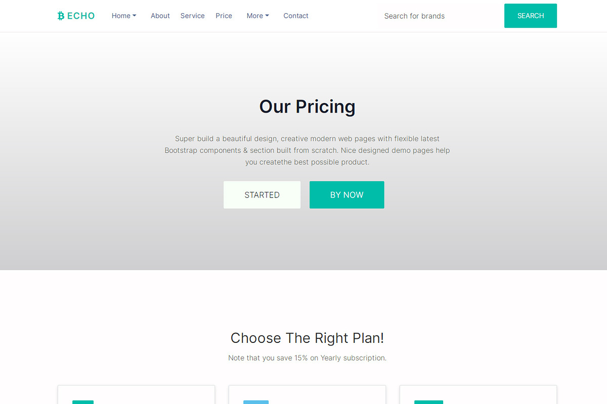 Echo - Multipurpose HTML Template, a HTML Template by Design Collection (Photo 6 of 9)