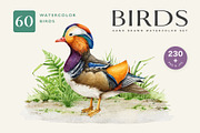 Birds Watercolor Painted Set, an Animal Illustration by AnitaPol (Thumbnail 1 of 18)