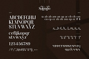Salendra Elegant Ligature Serif Font, a Serif Font by Graphicxell (Thumbnail 10 of 10)