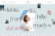 FELICITY — 3 ELEGANT FONTS, a Sans Serif Font by Madebysté. (Thumbnail 2 of 9)
