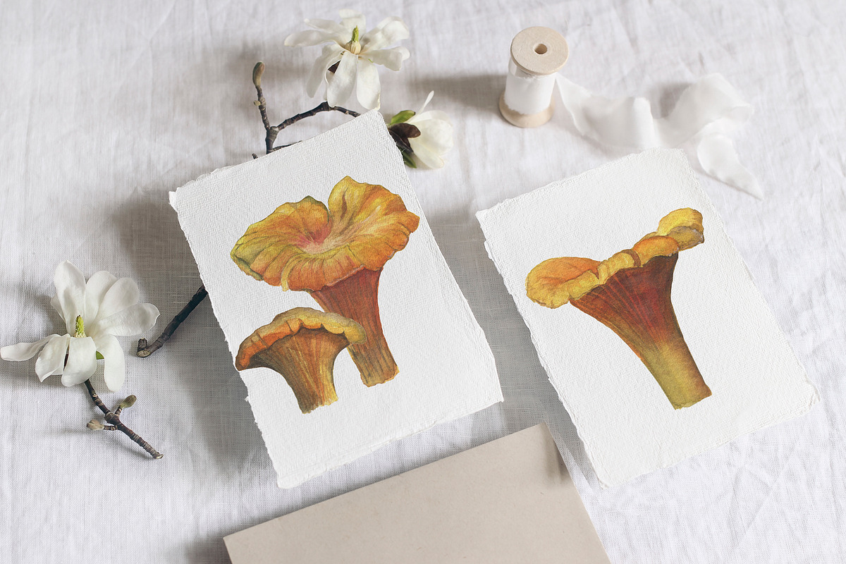 Watercolor: set of forest elements, a Graphic by WatercolorAnn (Photo 7 of 13)