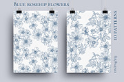 Blue rosehip flowers, a Decorative Illustration by LanaDzi (Thumbnail 2 of 12)