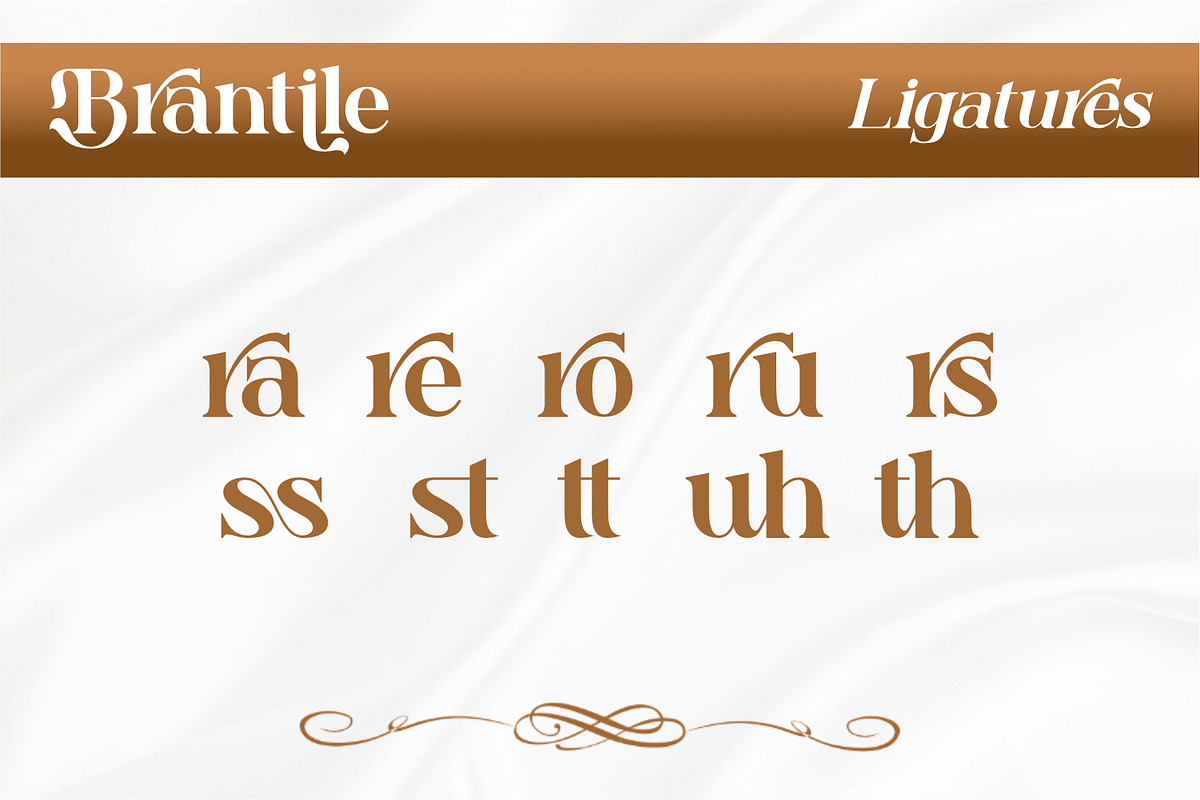 Brantile - Modern Serif Display Font, a Serif Font by Rishsketch (Photo 11 of 14)