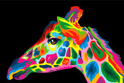 Giraffe colorful vector artwork, an Animal Illustration by weervector (Thumbnail 2 of 2)
