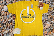 Sunray Script, a Script Font by Weblord (Thumbnail 6 of 6)