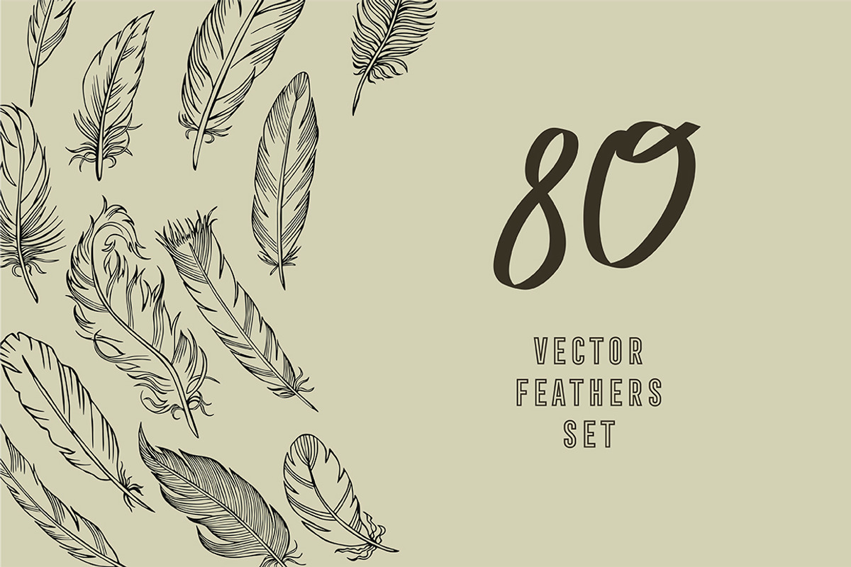 Vector feathers, an Illustration by risovanya (Photo 1 of 4)