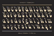 Wacky Tobacky: A Psychedelic Script, a Script Font by DeliFreshTypeCo. (Thumbnail 2 of 10)