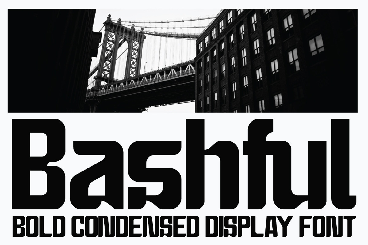 Bashful - Sans Condensed Font, a Sans Serif Font by tebaltipislab (Photo 1 of 12)